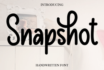 Snapshot Font: Design Templates for Modern Websites